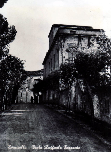Viale Raffaele Ferrante in Domicella